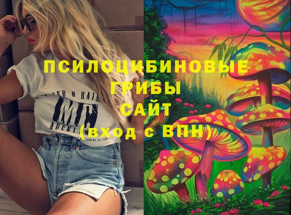 PSILOCYBIN Алексеевка