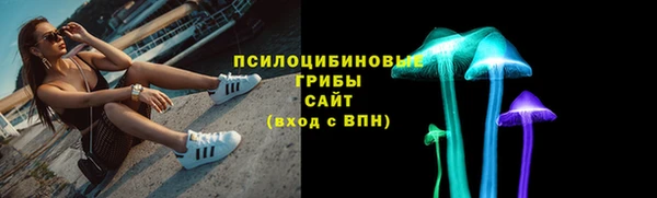 PSILOCYBIN Алексеевка