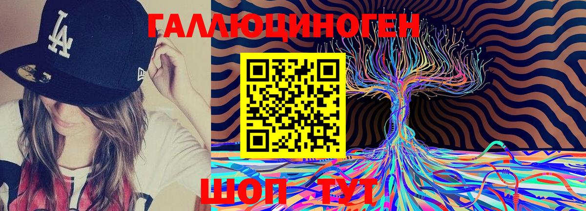 Псилоцибиновые грибы мицелий  Вход с VPN  Клинцы  Псилоцибиновые грибы мицелий 
