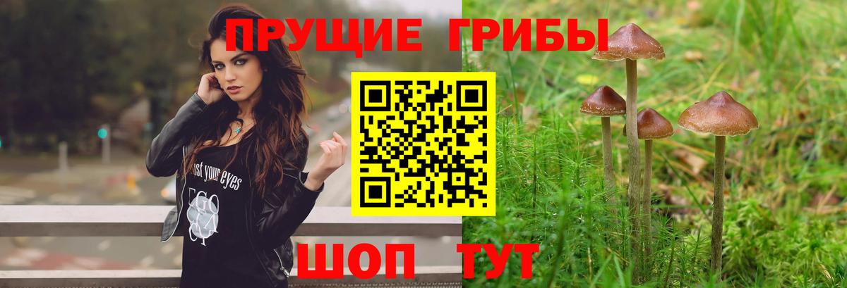Галлюциногенные грибы MAGIC MUSHROOMS Клинцы